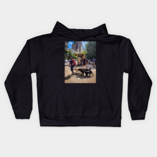 Dog Sitter, Central Park, Manhattan, New York City Kids Hoodie